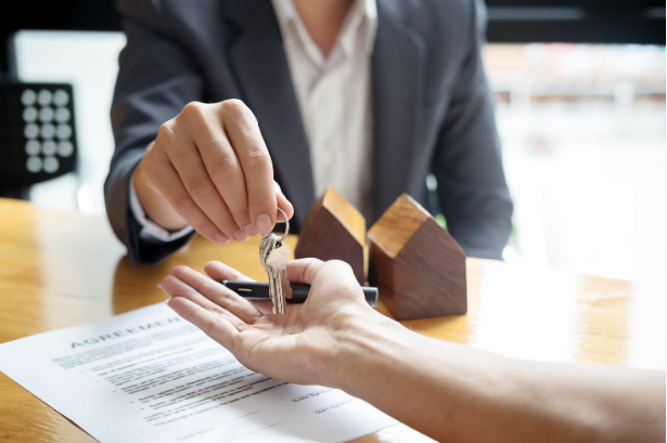 Commercial & Villa Opportunities